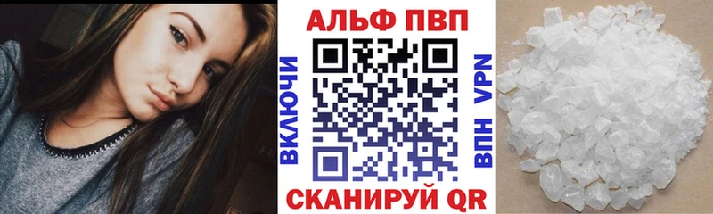 Alfa_PVP СК КРИС  Дно 