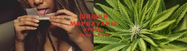 гидропоника Балахна