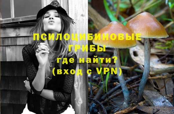 стафф Баксан
