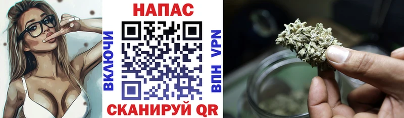 где можно купить наркотик  Дно  Бошки Шишки SATIVA & INDICA 